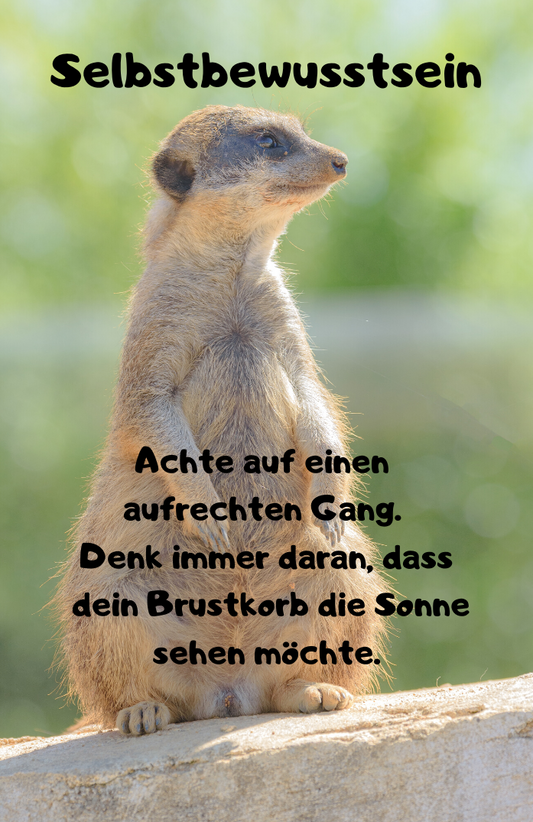 Wochenimpuls für die 33.KW